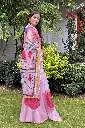 IMG_2520.webp
