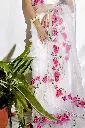 IMG_2547.webp